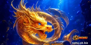 NOHU | cho thuê nhà khu vực cái dăm - hình ảnh - nohu-ok.biz